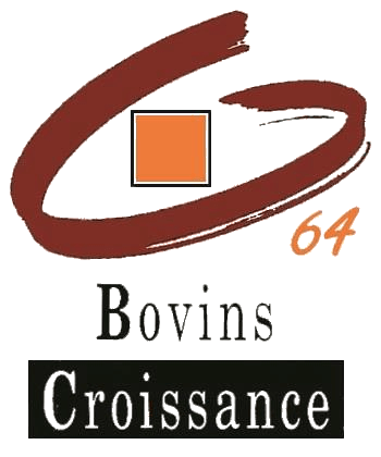 Logo Bovins Croissance 64